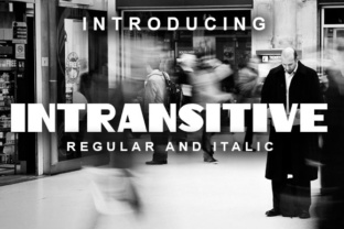 Intransitive: A Retro Display Font for Editorial Design