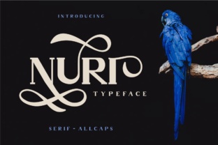 Nuri: A Classic Display Typeface for Branding