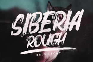 Siberia Rough: A Dynamic Display Font for Crafters